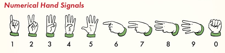 Tactical Hand Signals for Numbers