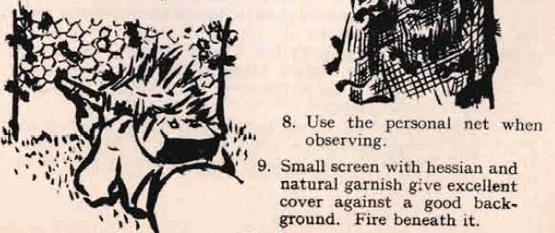 Using a screen for camouflage