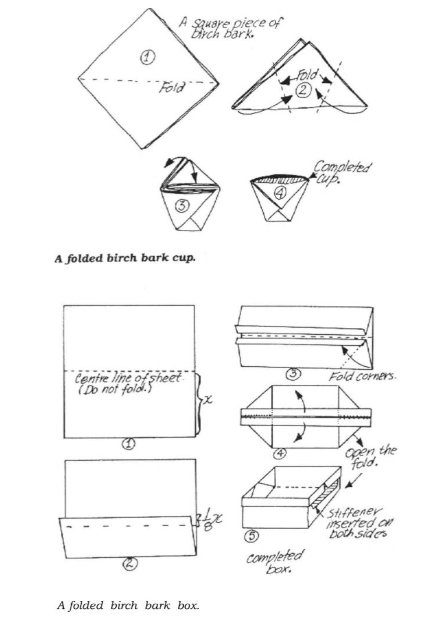 Containers made from bark