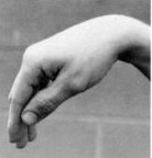 Crane/Horse Foot Hand of Whip Parry