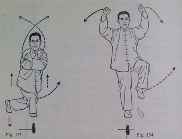 Twisting move from Wu tai chi.