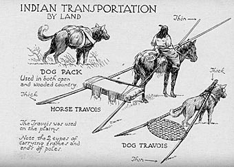 American Indian Travois